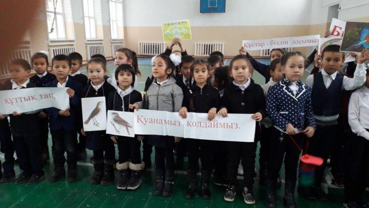 «Құстар –біздің досымыз» атты іс-шара