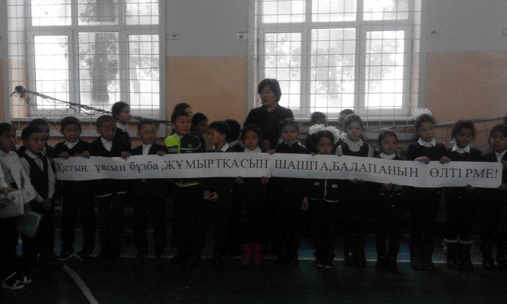 «Құстар –біздің досымыз» атты іс-шара